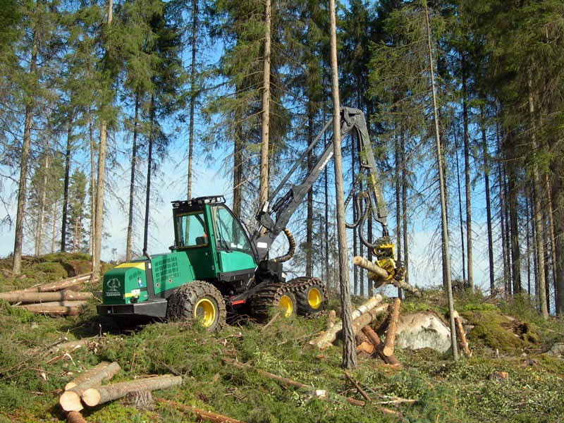 træfældning-nordsjælland-skovarbejde